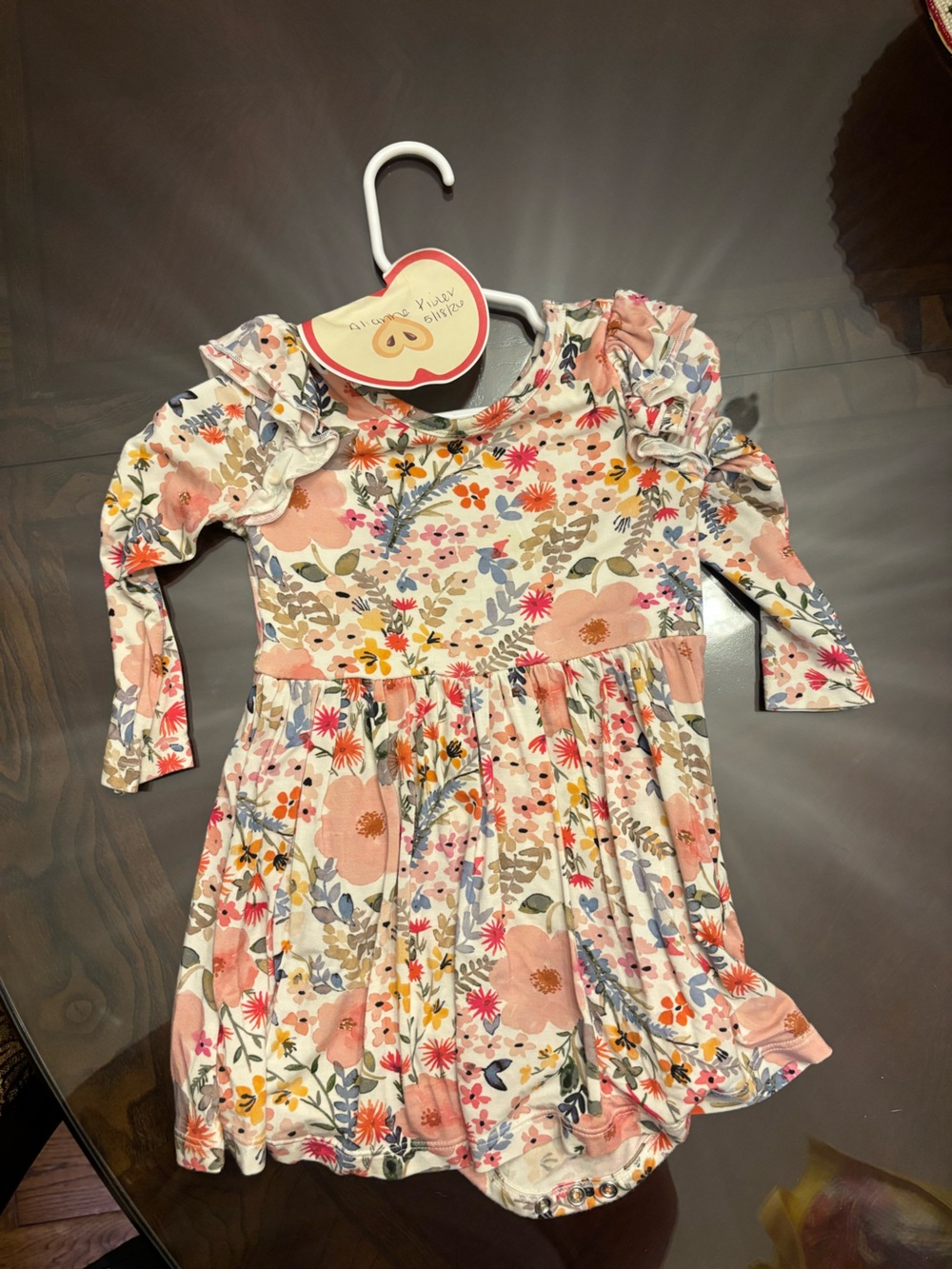 Little sleepies EUC 18-24 month long sleeve twirl dress